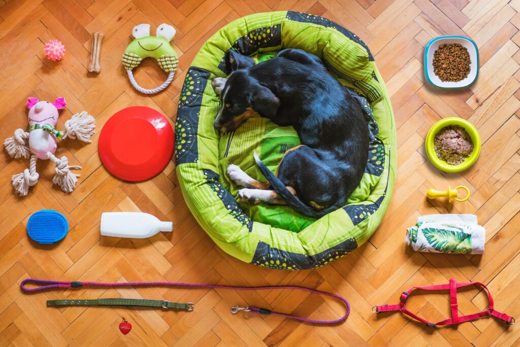 le chien et tous ses jouets